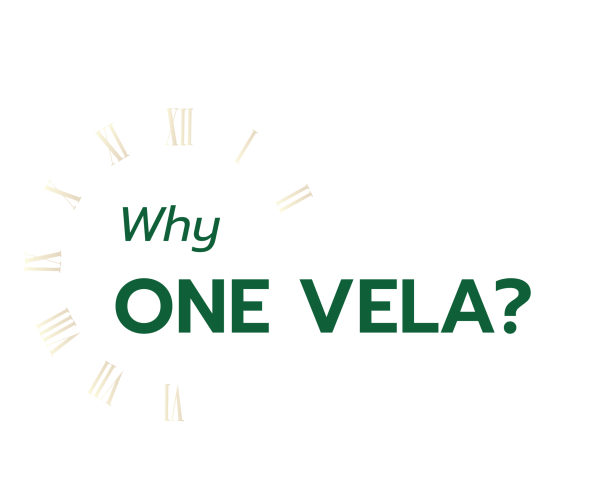 Why ONE VELA-02